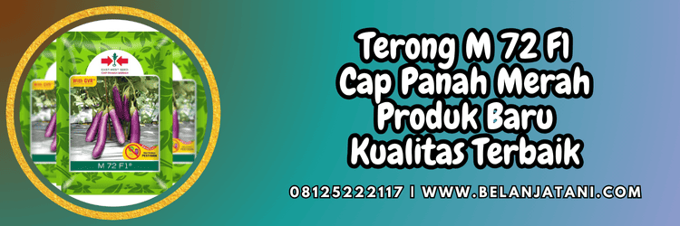 terung,cap panah merah,eastwestseed,ewindo,belanja tani