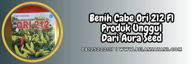 cabe rawit,cabai rawit,cabe ori 212,benih cabe rawit ori 212,belanja tani
