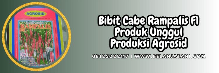 bibit cabe,cabe keriting,cabe merah keriting,f1,rampalis f1,belanja tani