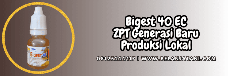 zat pengatur tumbuh,indotani,multi sarana indotani,zapt bigest 40 ec,belanja tani