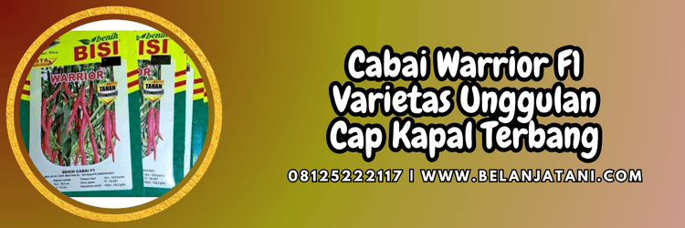 cabe,cabe warrior,cap kapal terbang,chia tai seed,belanja tani