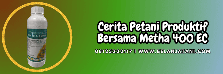 cerita,petani,budidaya,tanaman,belanja tani