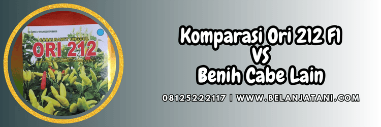 budidaya,tanaman,petani,ori 212 f1,ori 212 aura seed,belanja tani