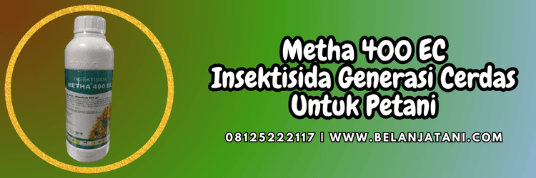 pestisida jenis insektisida,hama,serangga,hama serangga,belanja tani