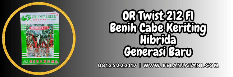 cabai keriting,tanaman,tanaman cabe,budidaya,belanja tani