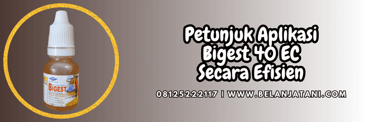 petunjuk,aplikasi,bigest cap kapal terbang,cap kapal terbang,belanja tani