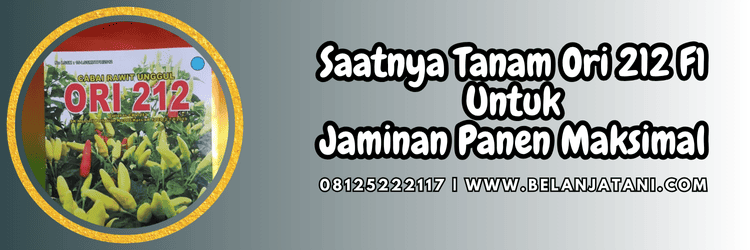 jual,murah,terjangkau,toko pertanian terdekat,belanja tani