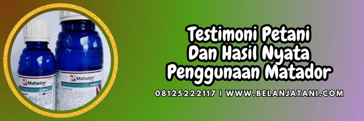 testimoni,petani,pengguna,budidaya,belanja tani