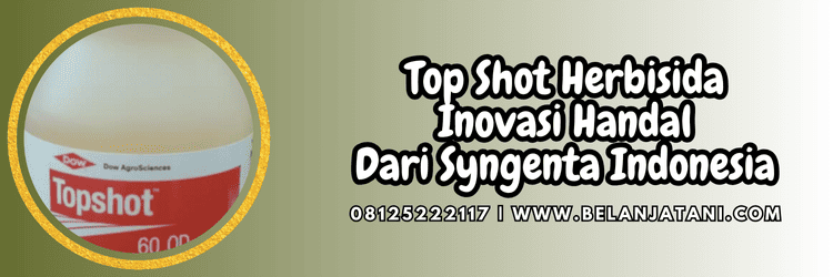 Top Shot,topshot 60 od,syngenta,topshot syngenta,belanja tani
