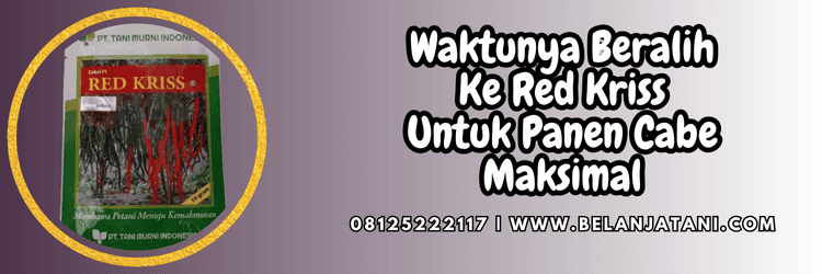 jual,murah,terjangkau,toko pertanian terdekat,belanja tani