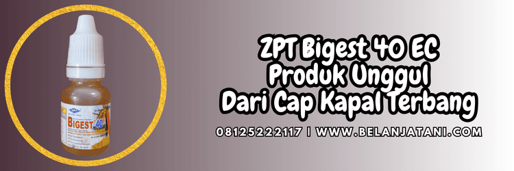 zpt bigest,bigest zpt,bigest cap kapal terbang,petani,budidaya,tanaman,belanja tani