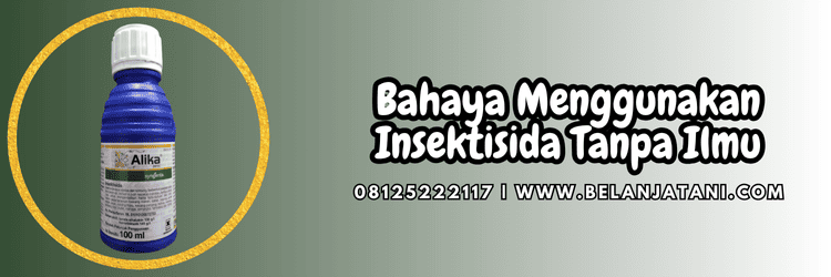 bahaya,penggunaan,pengaplikasian,insektisida timun,belanja tani