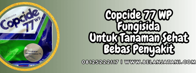copcide 77 wp,copcide,fungisida,fungisida copcide,belanja tani