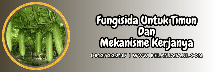 pestisida,pestisida jenis fungisida,jamur,penyakit,belanja tani