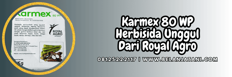 pestisida jenis herbisida,herbisida karmex,karmex herbisida,royal agro,belanja tani