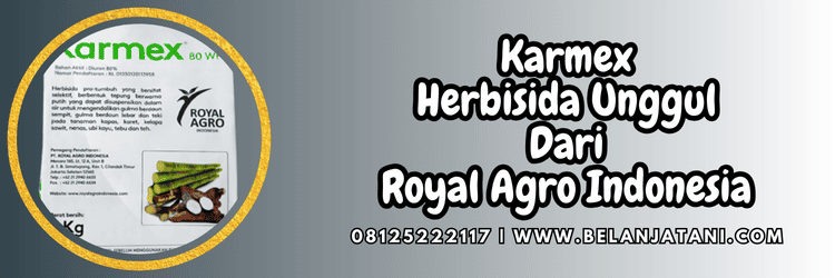royal agro,gulma,pestisida,herbisida karmex,karmex royal agro,belanja tani