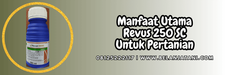 manfaat,aplikasi,pertanian,budidaya,tanaman,belanja tani