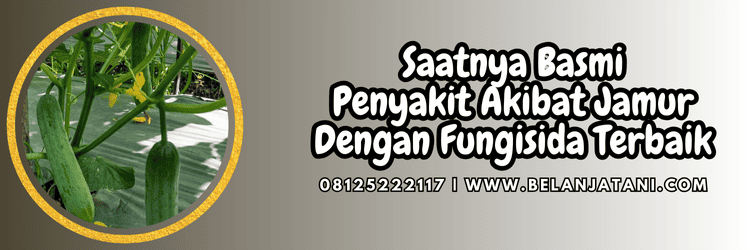 jual,murah,terjangkau,toko pertanian terdekat,belanja tani