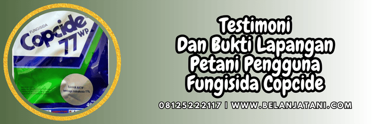 testimoni,review,bukti,petani,belanja tani
