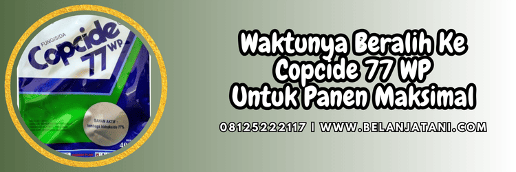 jual,murah,terjangkau,toko pertanian terdekat,belanja tani