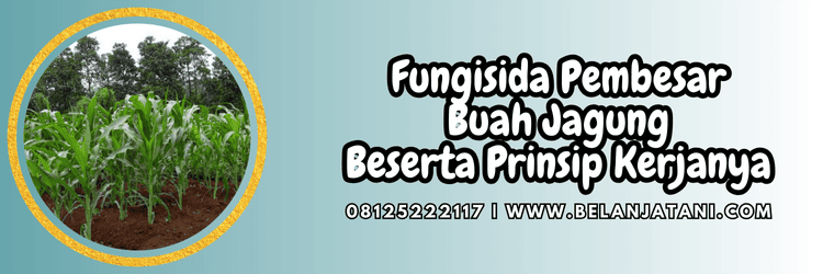 pestisida,penyakit,jamur,cendawan,belanja tani