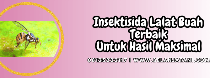 insektisida lalat buah,insektisida,lalat,lalat buah,belanja tani