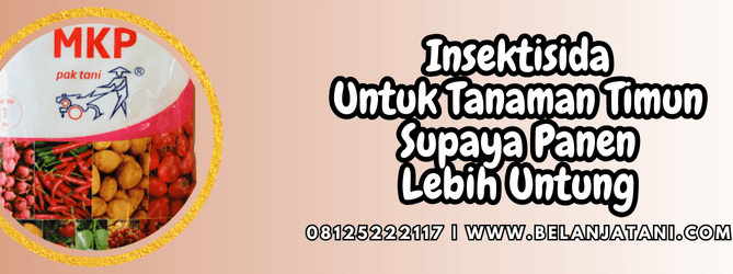 insektisida untuk tanaman timun,insektisida,tanaman,timun,belanja tani
