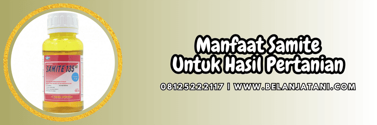 manfaat,pertanian,budidaya,tanaman,hama,tungau,belanja tani