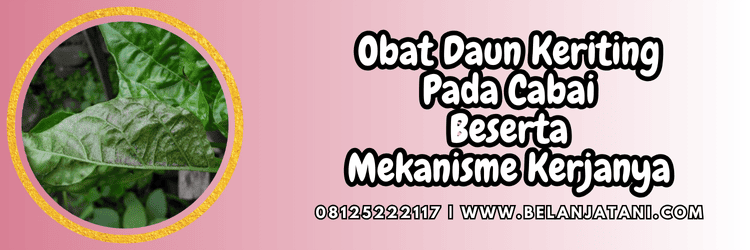 pestisida,petani,bercocok tanam,bertani,belanja tani
