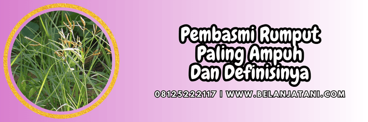 rumput liar,gulma,pestisida jenis herbisida,obat rumput,belanja tani