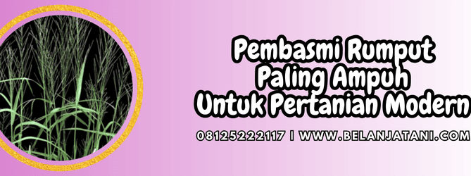 pembasmi rumput paling ampuh,pestisida,herbisida,racun rumput,belanja tani