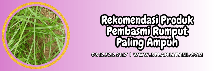 rekomendasi,produk,varian,paling ampuh,belanja tani