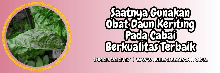 jual,murah,terjangkau,toko pertanian terdekat,belanja tani