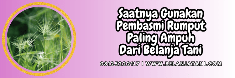 jual,murah,terjangkau,toko pertanian terdekat,belanja tani
