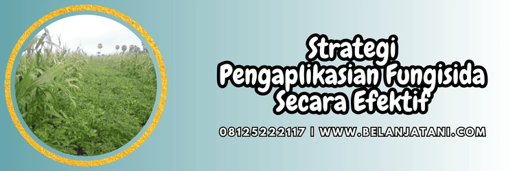 strategi,dosis,aplikasi,pestisida jenis fungisida,belanja tani