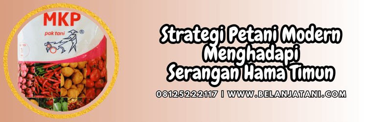 strategi,cara,petani,hama,belanja tani
