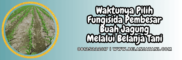 jual,murah,terjangkau,toko pertanian terdekat,belanja tani