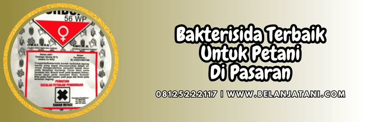 pestisida jenis bakterisida,penyakit,bakteri,tanaman,belanja tani