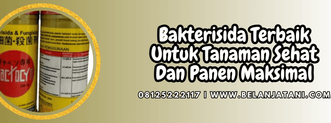 bakterisida terbaik,bakterisida,terbaik,pestisida,belanja tani