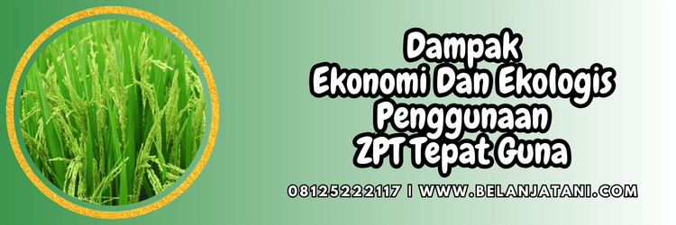 dampak,ekonomi,ekologis,penggunaan,belanja tani