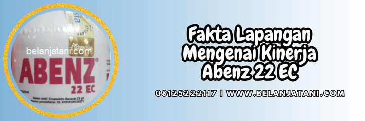 fakta,lapangan,hama,serangga,belanja tani