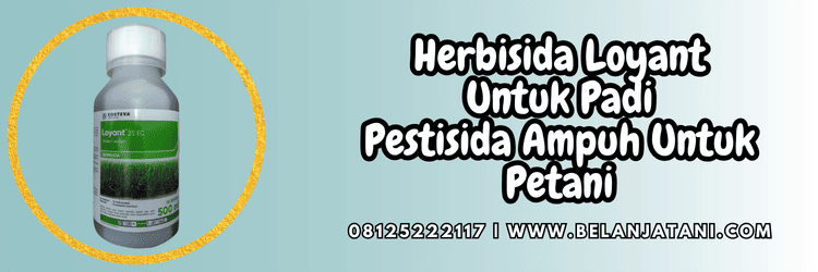 loyant 25 ec,corteva,herbisida loyant,loyant corteva,herbisida loyant 25 ec,belanja tani