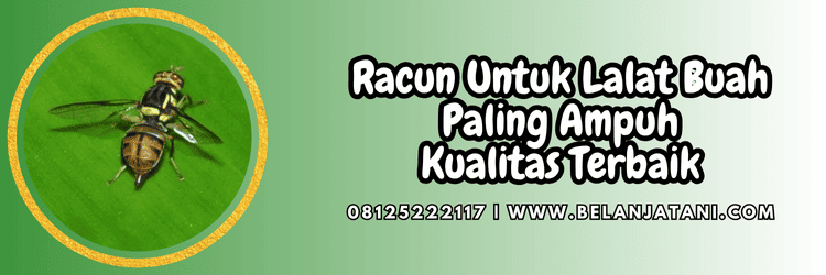 pestisida,insektisida,pestisida jenis insektisida,tanaman,belanja tani