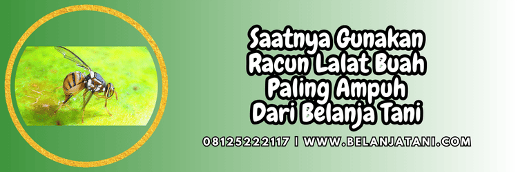 jual,murah,terjangkau,toko pertanian terdekat,belanja tani