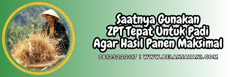 jual,murah,terjangkau,toko pertanian terdekat,belanja tani