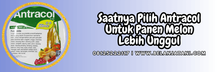 jual,murah,terjangkau,toko pertanian terdekat,belanja tani