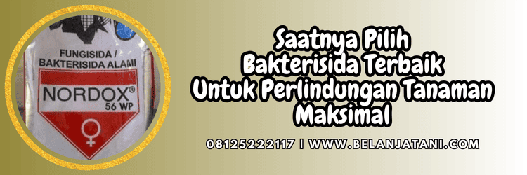 jual,murah,terjangkau,toko pertanian terdekat,belanja tani