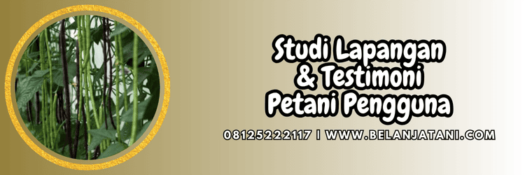 serangga,studi,testimoni,petani,hama serangga,belanja tani