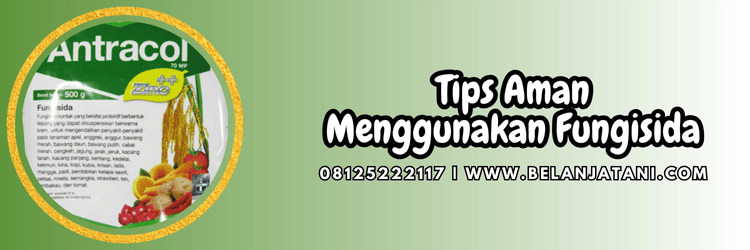 tips,aman,penggunaan,pengaplikasian,belanja tani