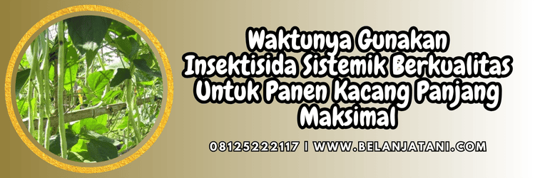 jual,murah,terjangkau,toko pertanian terdekat,belanja tani